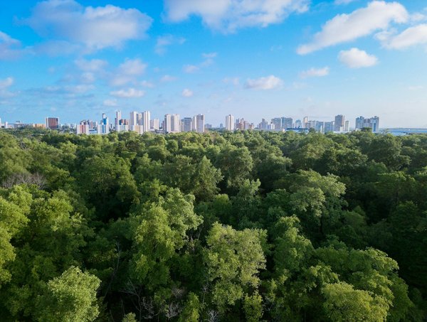 Comment le Sport Façonne les Leaders de Demain : Clé du Développement des Compétences en Leadership